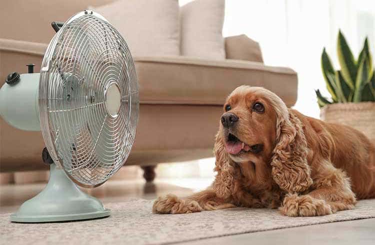 Emergency-ac-services-