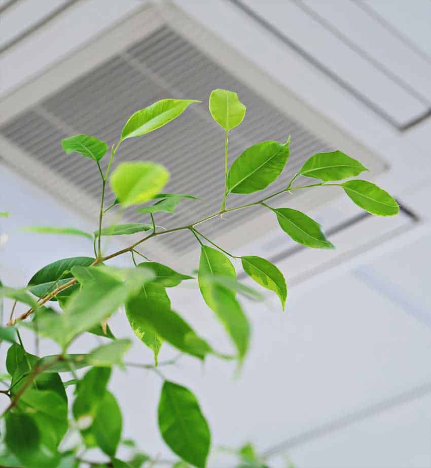 indoor-air-quality- Sarasota HVAC Services include indoor air quality solutions